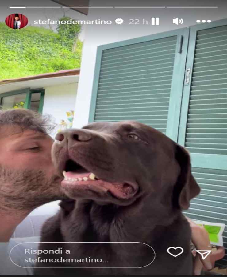 stefano de martino cane-NotizieFlash